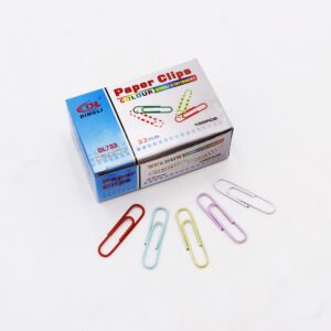Clips de papel de Uso Múltiple - 100 Pcs